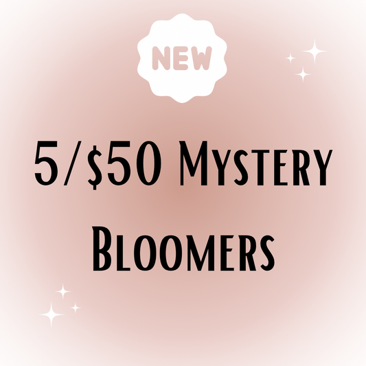 5/$50 Mystery Bloomers