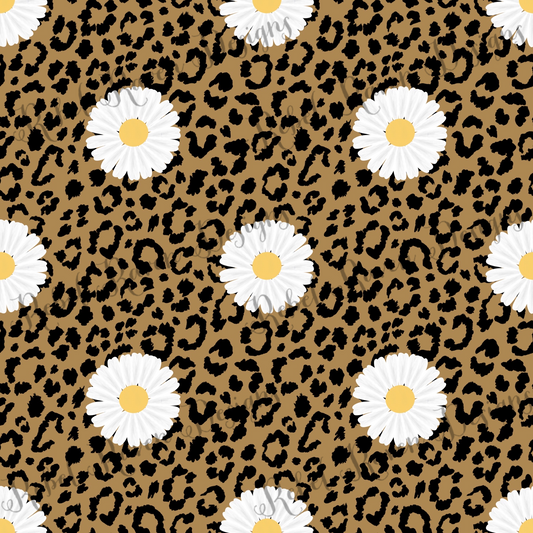 Leopard Daisies